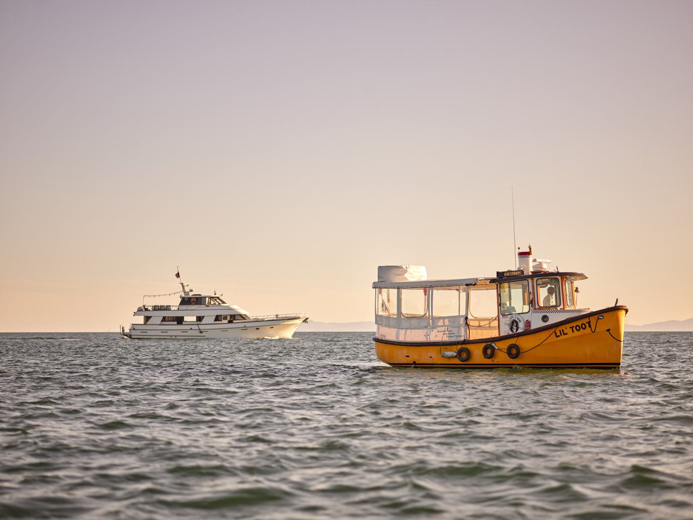 Azure Seas FAQ Celebration Cruises