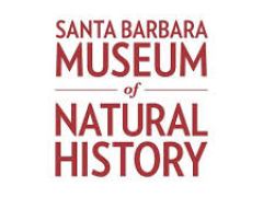 a close up of a logo