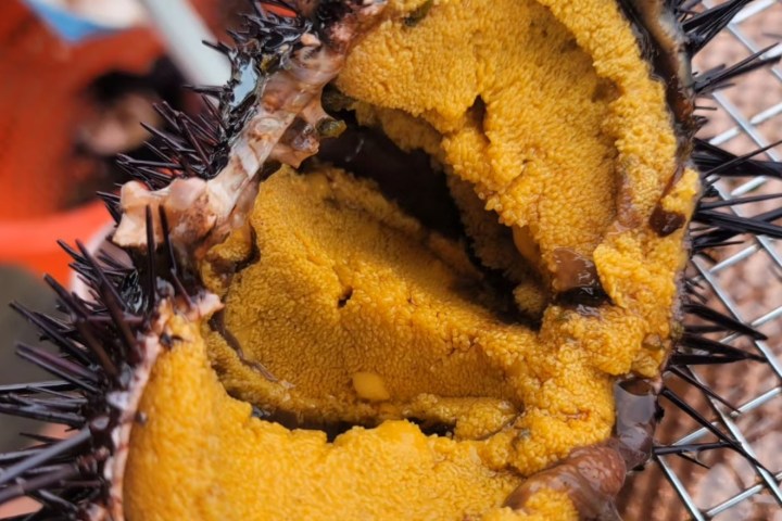 a close up of a piece of metal pan